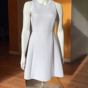 Banana Republic Skater Dress